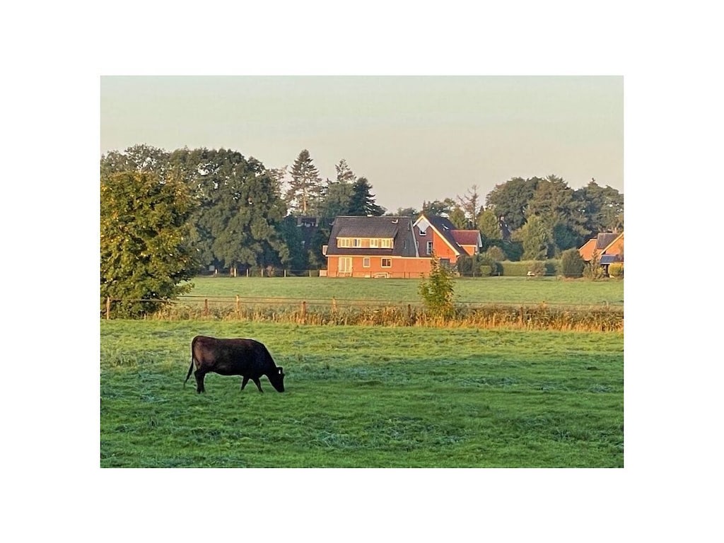 Panoramisch uitzicht vanaf vakantiehuis Emma in Arngast