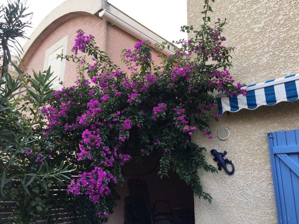 La petite maison bleu