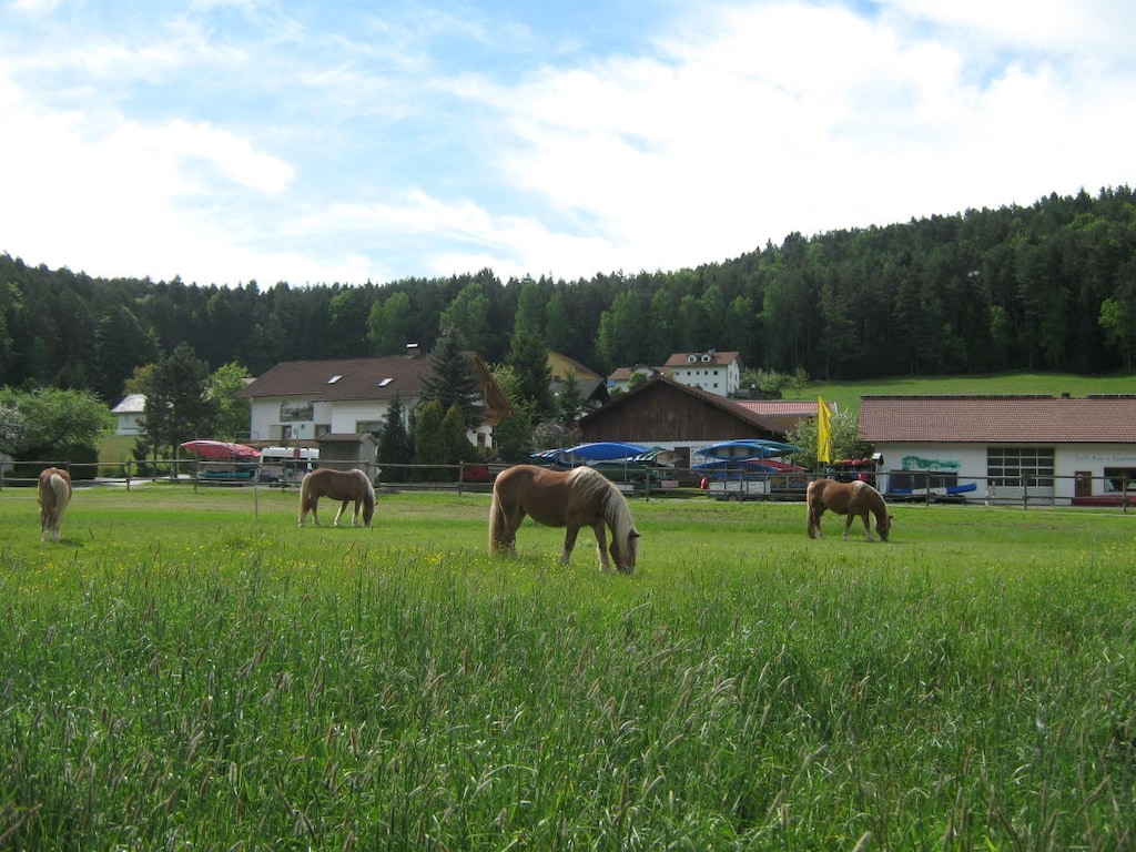 Vakantiehuis in Miltach met zwembad