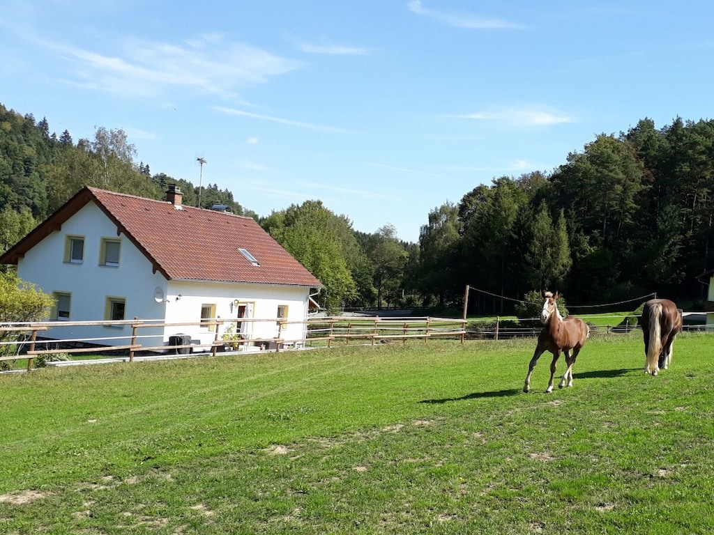 Sofia op de paardenboerderij