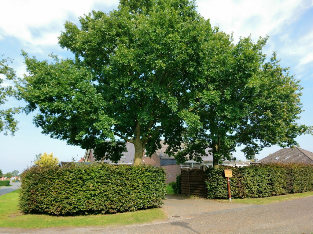 Huis van de 2 Eiken || Butjadingen - Tossens