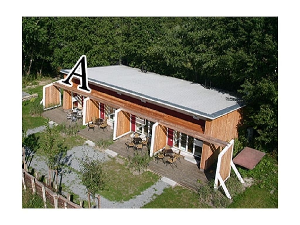 Wohnung in Zingst mit Schwimmbecken