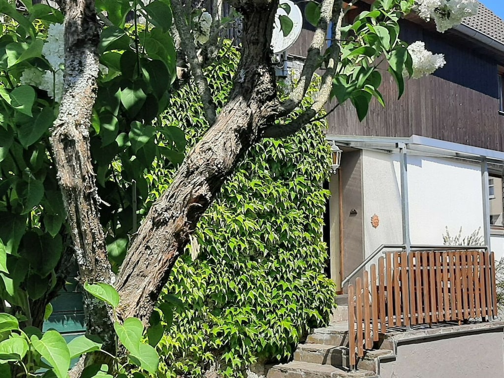 Plattelandsuitstapje in de Eifelregio