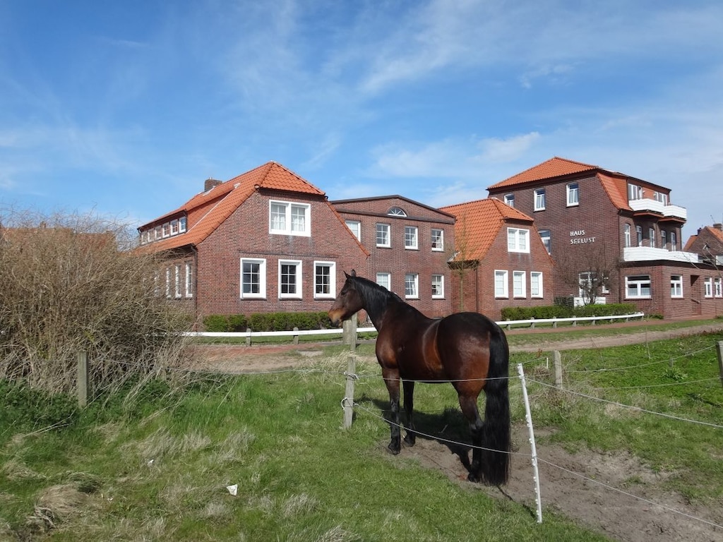 Zonneterras bij het vakantiehuis