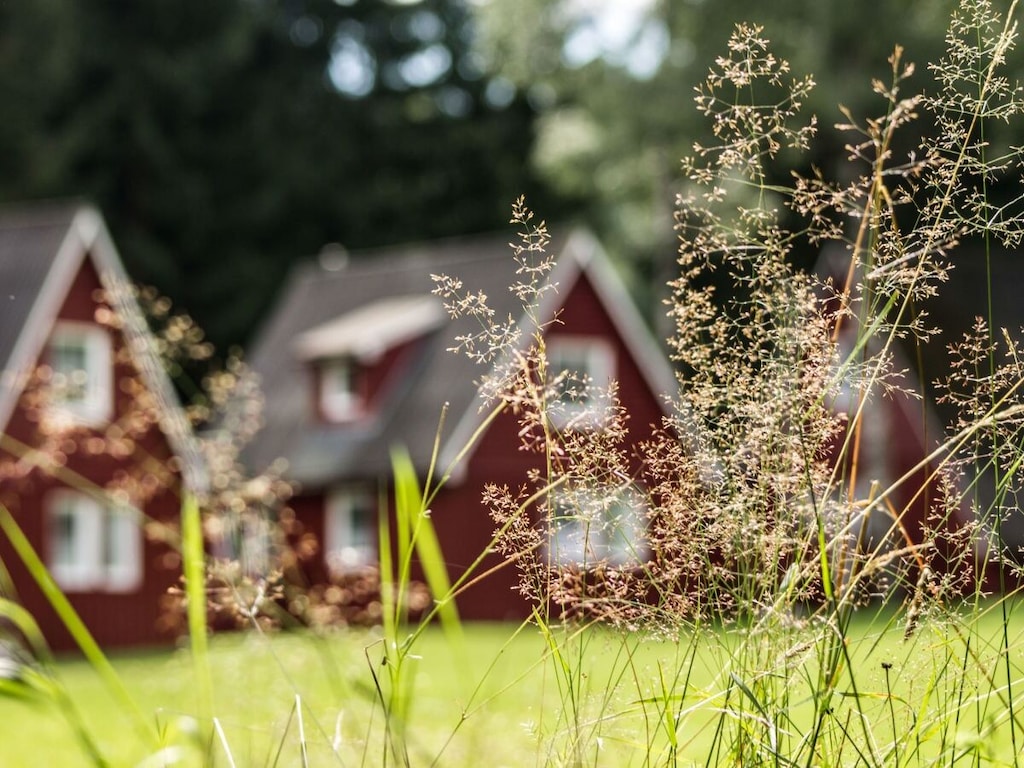 De idylle van het Ertsgebergte in Breitenbrunn