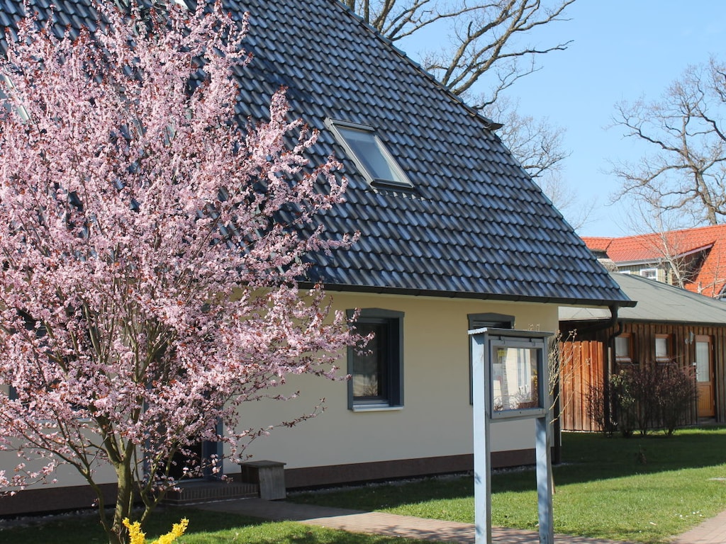 Beech Dream 1/4 in de badplaats Prerow aan de Oostzee