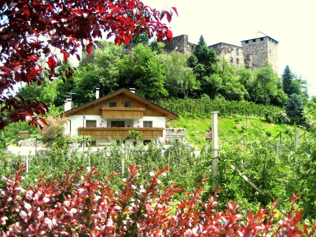 Ferienwohnung mit 1 Schlafzimmer