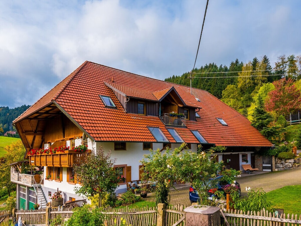 Boerderij in Steinach met zwembad