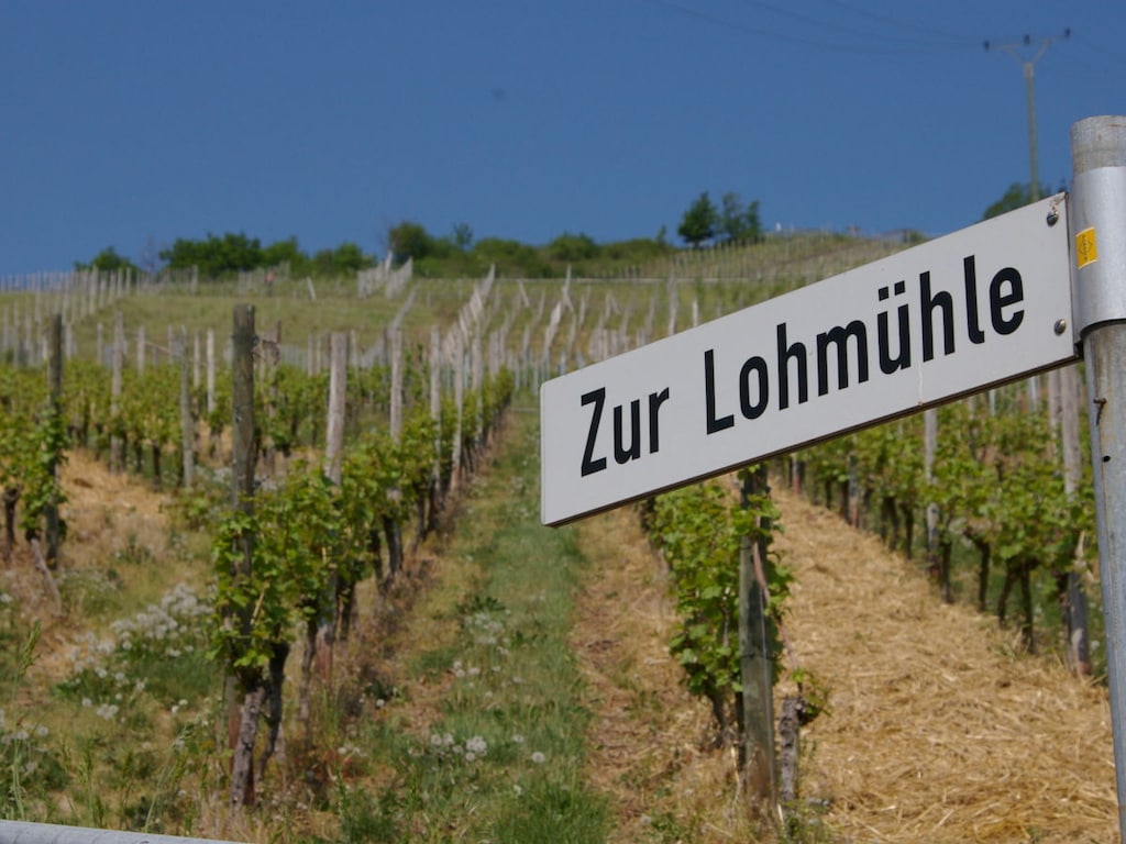 Vakantiehuis in Müden met zwembad