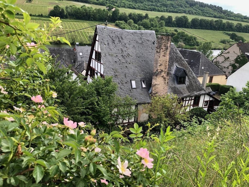 Vakantieappartement in Zell met zwembad