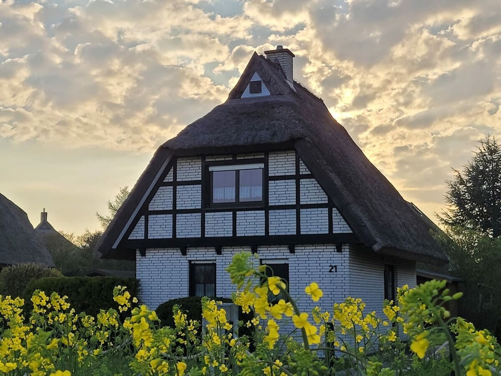 Rietgedekt huis in Goos