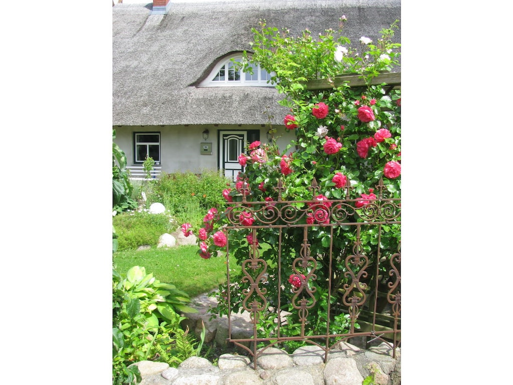 Naar het huisje met rieten dak aan de lagune, "Meeuwennest".