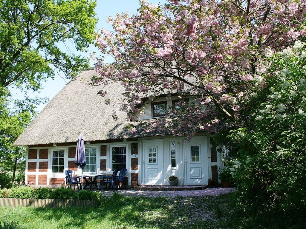 Vakantieappartement met 0 slaapkamers