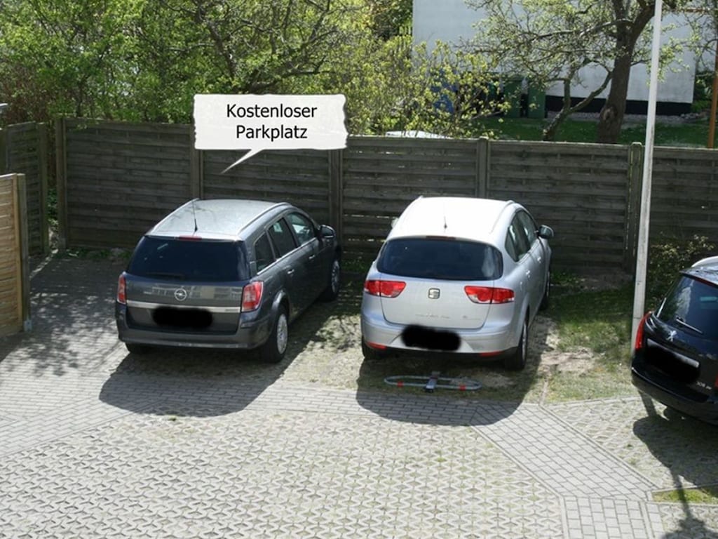Seestern in der Villa Vogelsang