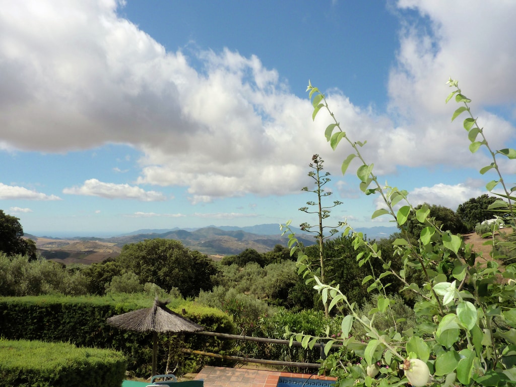 Ferienhaus Finca las Chozas (89952), Nogales, Malaga, Andalusien, Spanien, Bild 7