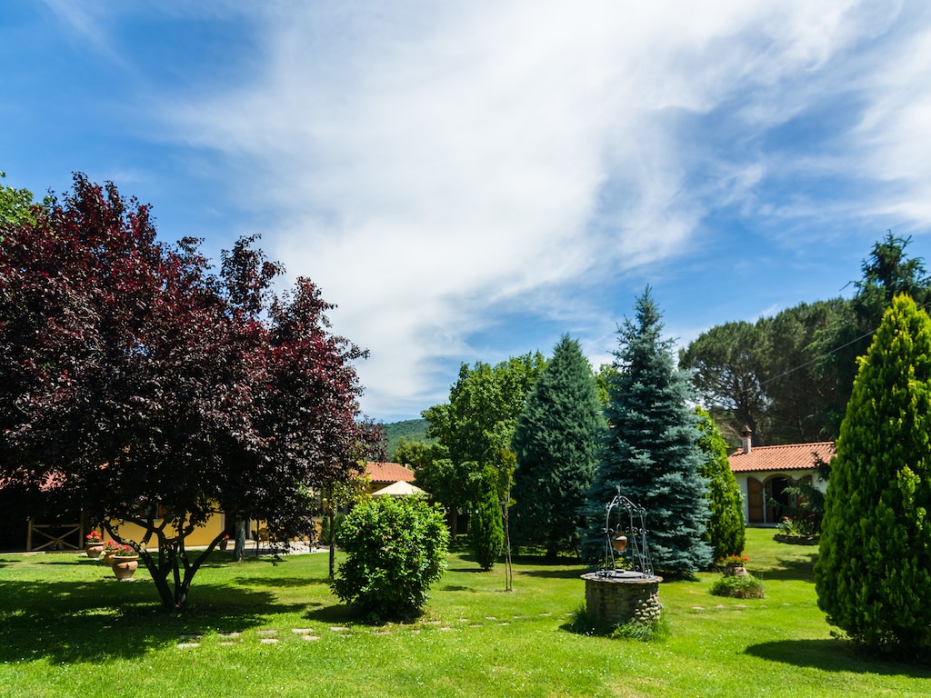 Ferienhaus Fiordaliso (94734), Castiglion Fiorentino, Arezzo, Toskana, Italien, Bild 20