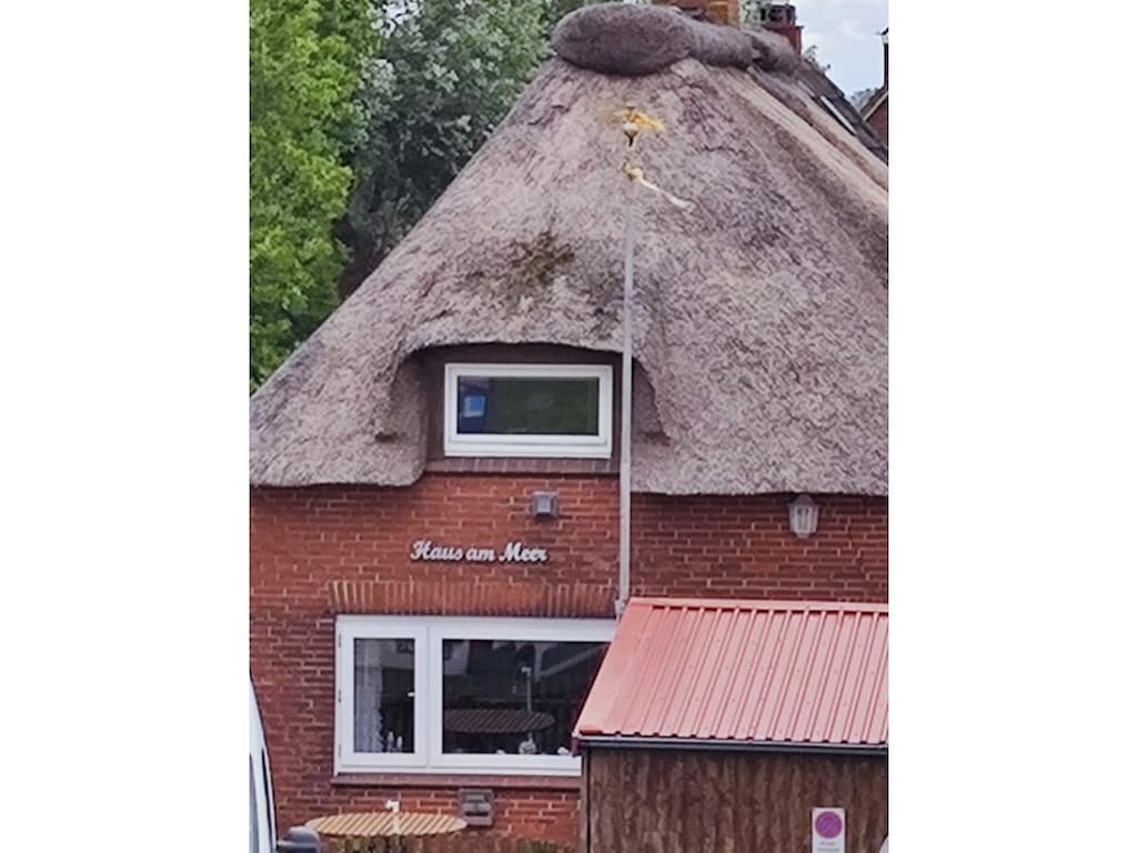 Ferienhaus mit 1 Schlafzimmer