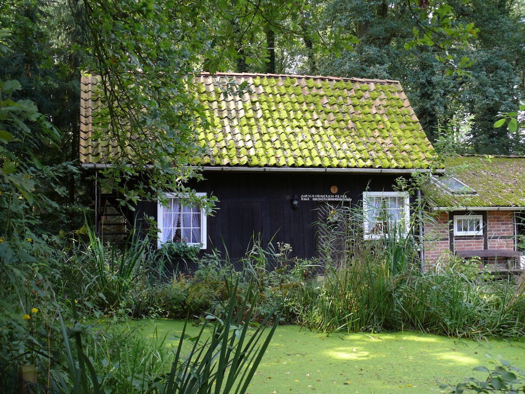 Vakantiehuis in Walsrode met zwembad