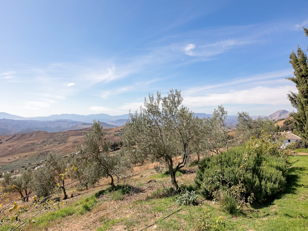 Ferienhaus El Encinar (101078), Nogales, Malaga, Andalusien, Spanien, Bild 8