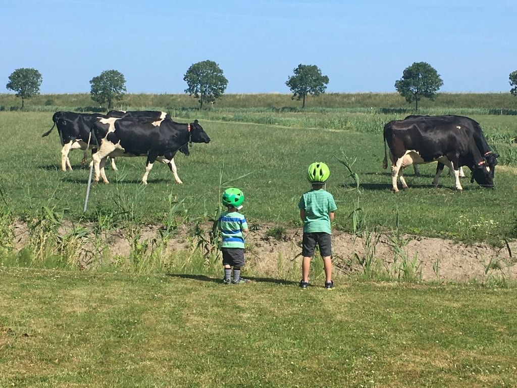 Vakantiehuis met 1 slaapkamer