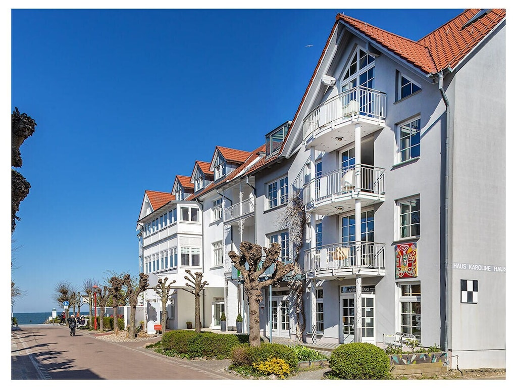 Cartoon in Karoline's huis