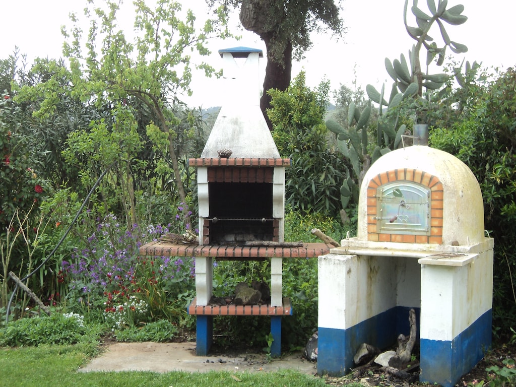 Ferienhaus Casa das Flores (101241), Montemor-o-Novo, , Alentejo, Portugal, Bild 17