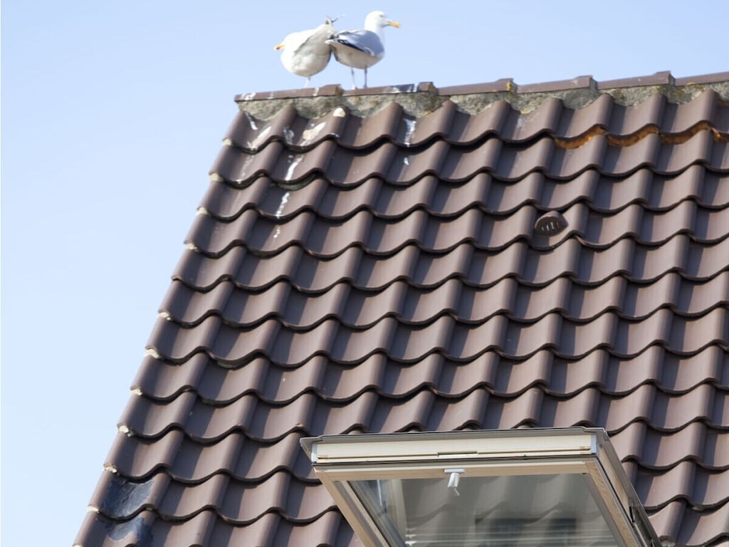 "Füürtoorn" im Uns to Hus