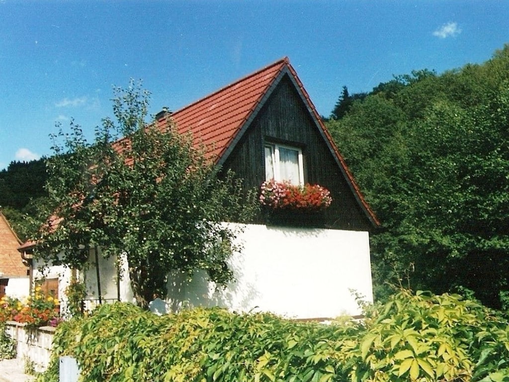 "An der Bode" Wohnung 1