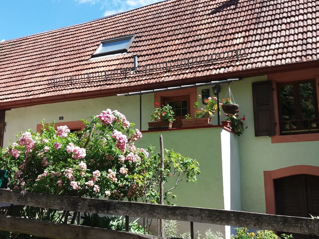 Ferienhaus Paulette