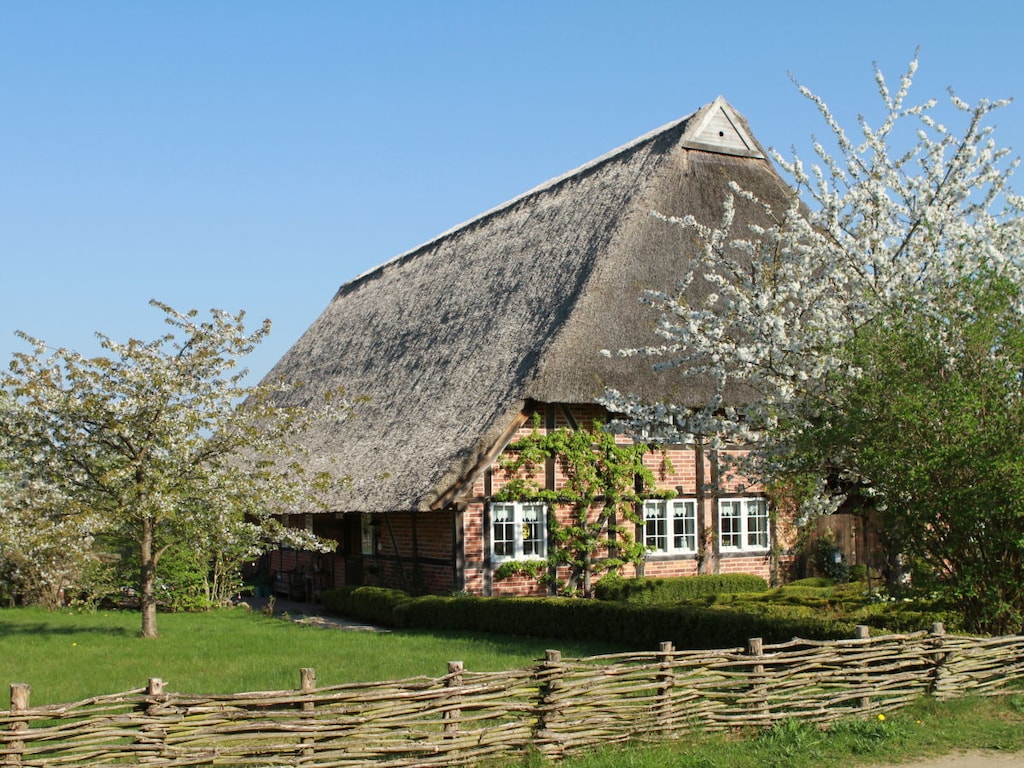Ute von Lingelsheim