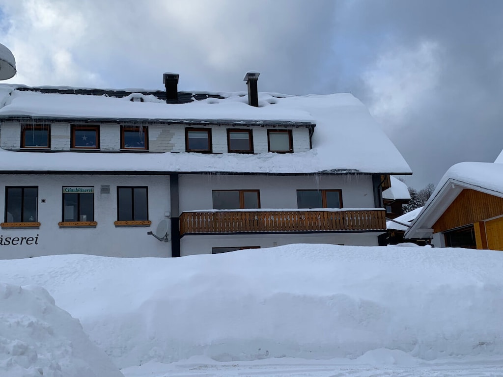 Schmidt House Feldberg