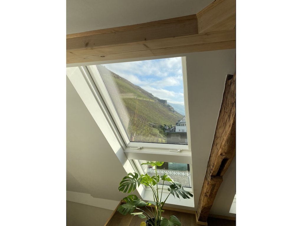 Appartement met 1 slaapkamer
