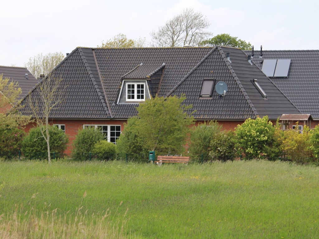 Nest van de huiszwaluw