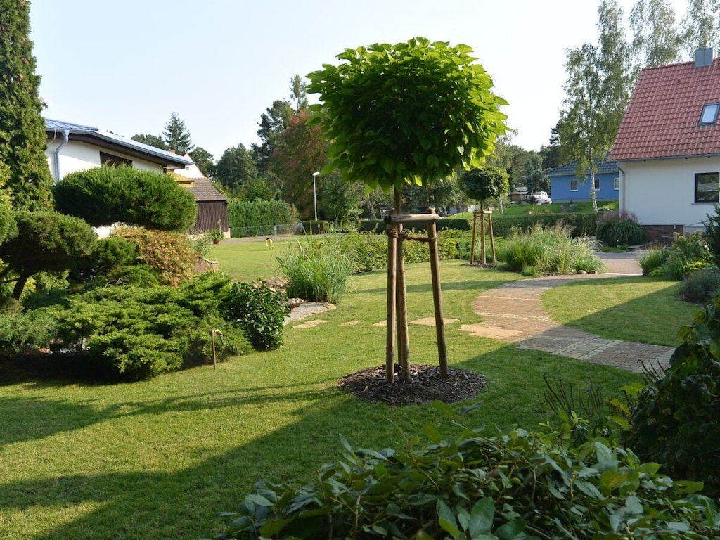 Altschulze "Panorama"