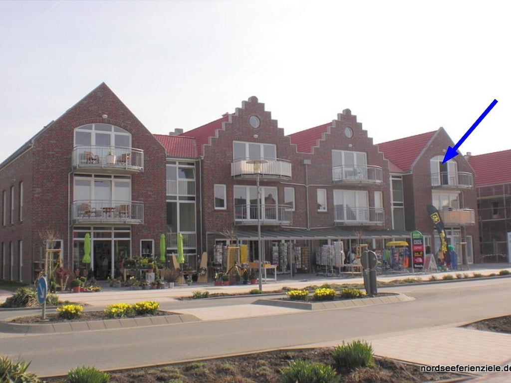 Meeuwennest, vlakbij het strand (300 m)