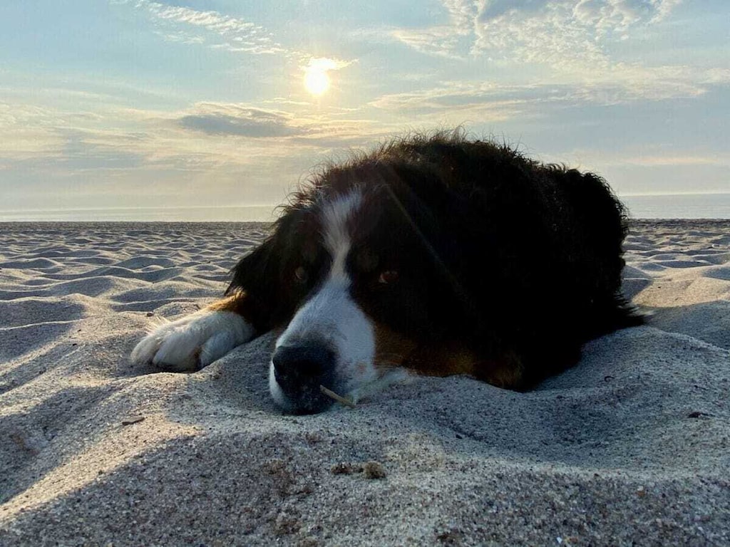 Parel van de Oostzee, 200 m van het natuurlijke strand.