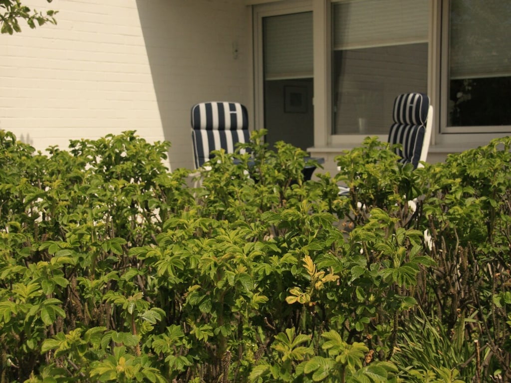 Vakantieappartement met 1 slaapkamer
