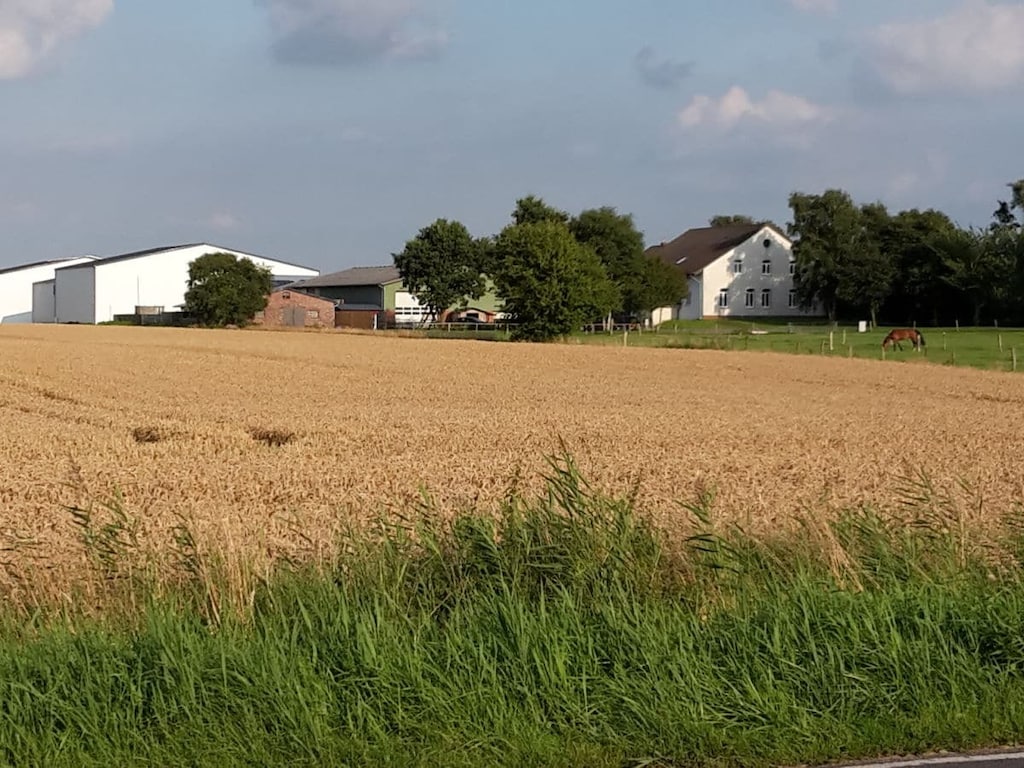 Ferienhof Möhring