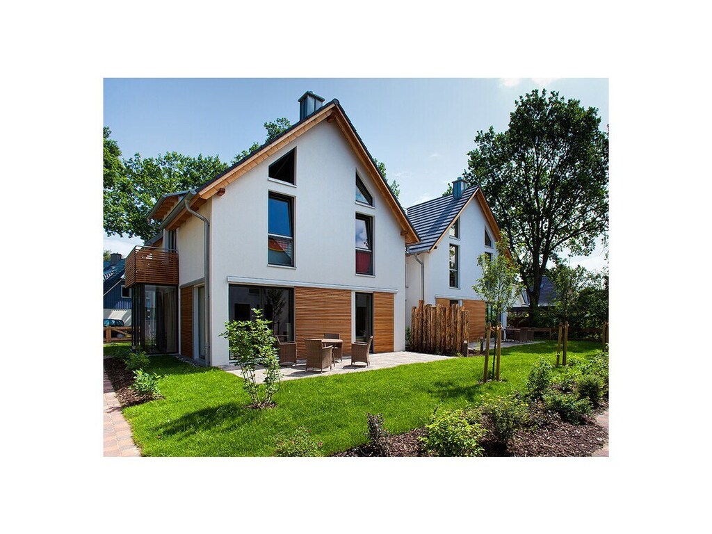 Hoefblad, thuis in de buurt van het Oostzeebos