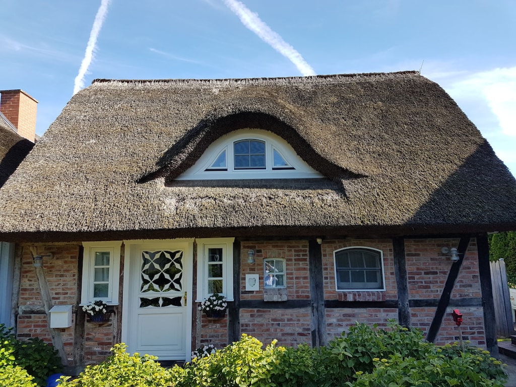 Ferienhaus in Born mit Schwimmbecken