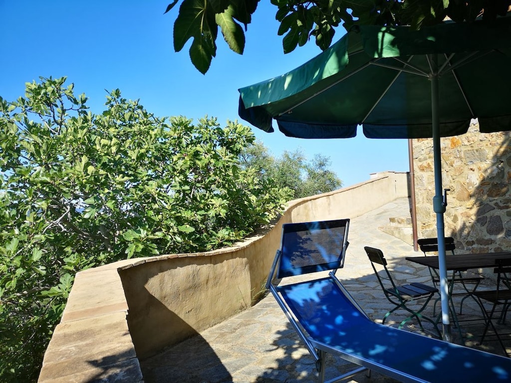 Ferienhaus in Seggiano mit Schwimmbecken