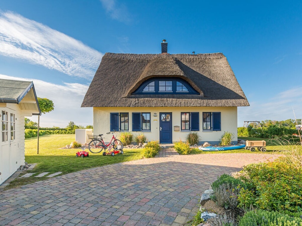 Zwartkopmeeuw met uitzicht op de Oostzee