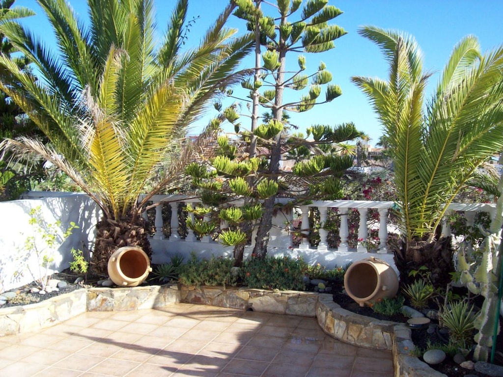Costa Calma Jasmin