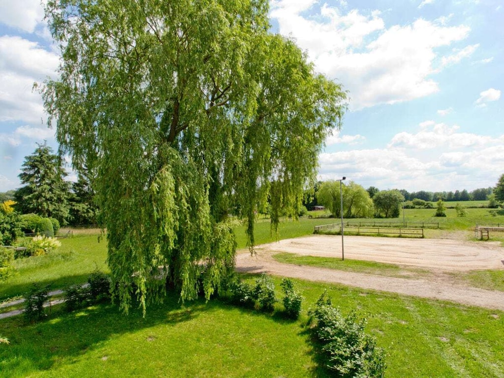 Uitzicht op de weide
