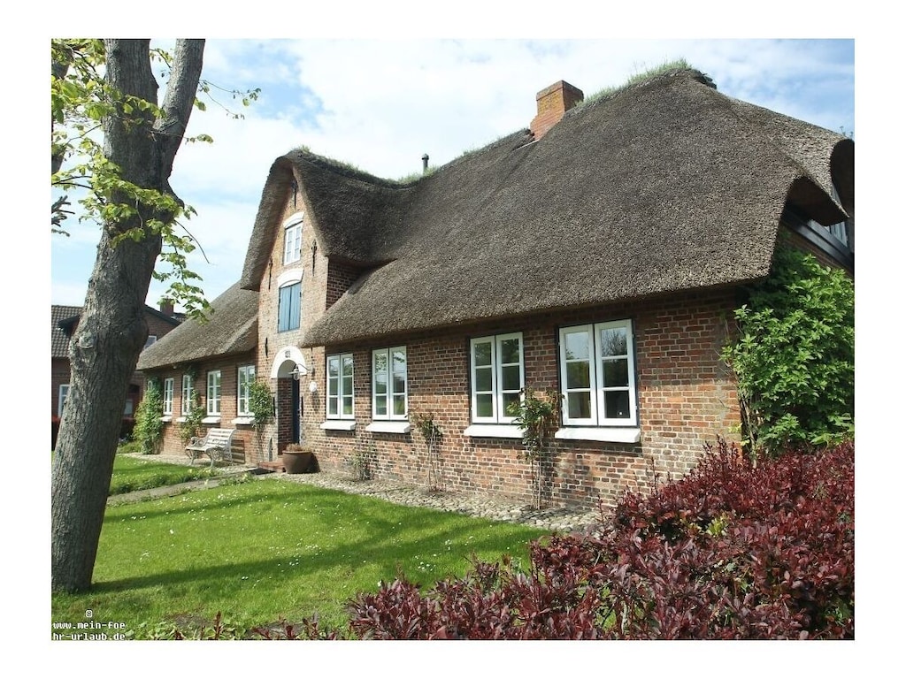 Strandjutter in het Huis Eiland Droom