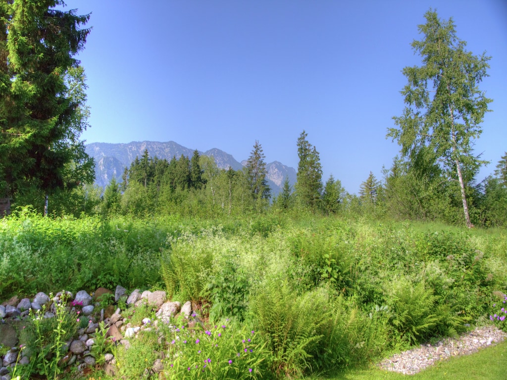 Ferienwohnung Inzell (133894), Inzell, Chiemgau, Bayern, Deutschland, Bild 18