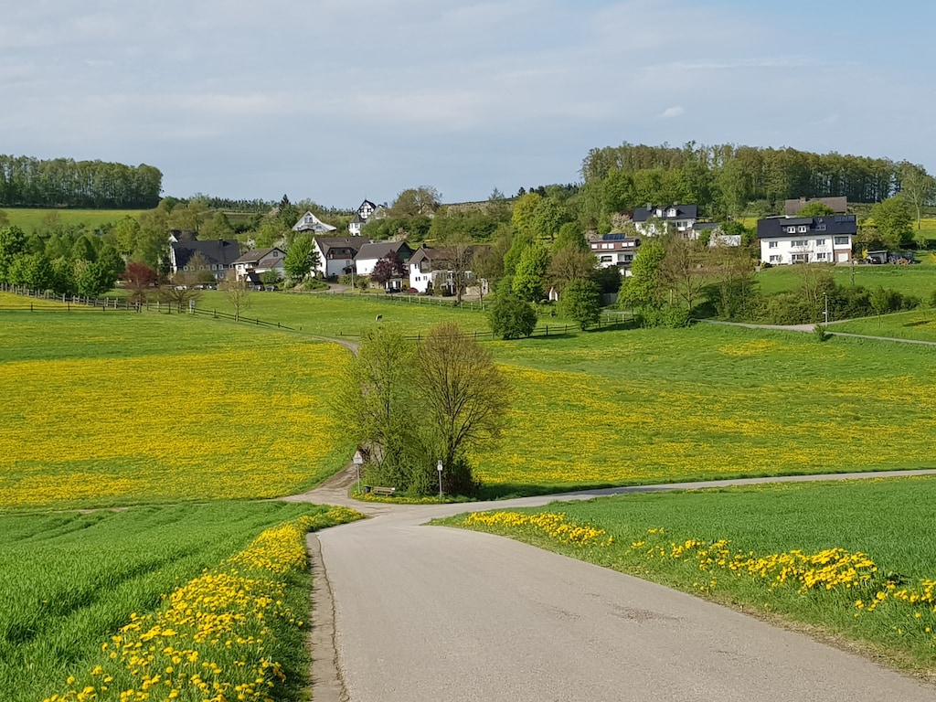 Ferienwohnung Silbecke (152540), Attendorn, Sauerland, Nordrhein-Westfalen, Deutschland, Bild 14
