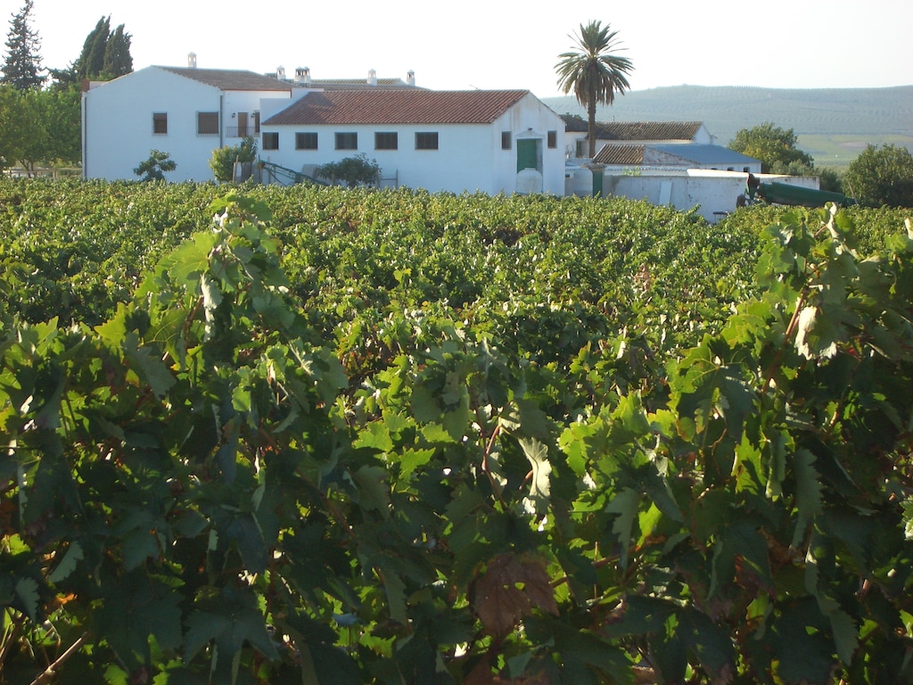 Traditioneel Andalusische herenboerderij bij Córdoba