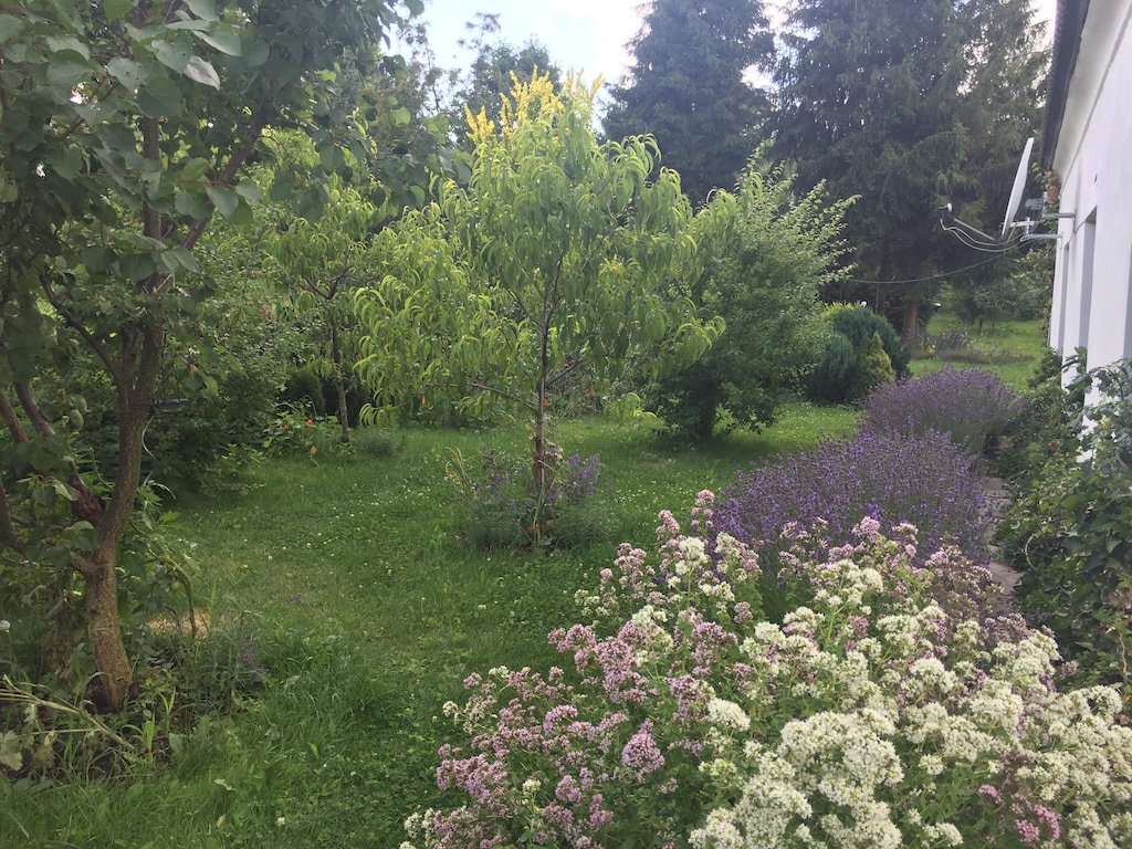 Bild 17 Bild 17