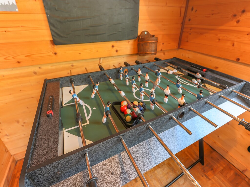 Ferienwohnung Chalet Mittersill B (194919), Mittersill, Pinzgau, Salzburg, Österreich, Bild 11